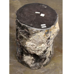 Natural Petrified Wood Stool (001)