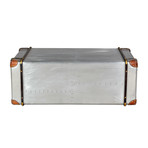 Aero Metal Finish Trunk // Coffee Table