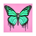 Dripping Wings Pink (12" x 12”)