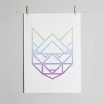 Rainbow Raccoon // White