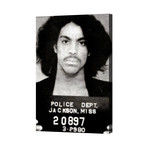 Prince (16"L x 23"W)