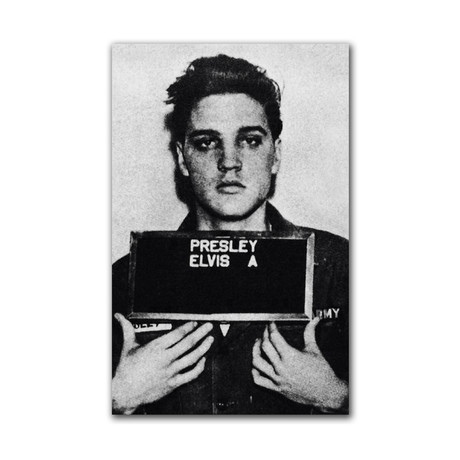Elvis Aaron Presley (23"L x 16"W)