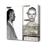David Bowie (16"L x 16"W)