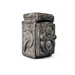 Rollei Future Fossil