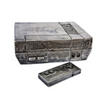 NES Future Fossil