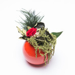 Ceramic Flowerpod // Red
