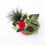 Ceramic Flowerpod // Red