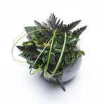 Ceramic Flowerpod // Slate