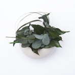 Ceramic Flowerpod // White