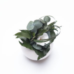 Ceramic Flowerpod // White