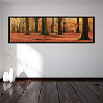Orange In Autumn
