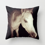Colt Pillow Case