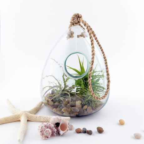 100% Recycled Glass Hanging Terrarium