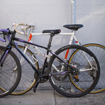 125 TiGr // Bike Lock (18" Length)