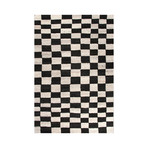 Hand-Tufted Durable Wool // Black & Ivory (2' x 3')