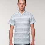 Wellinton // Blue Stripe (S)