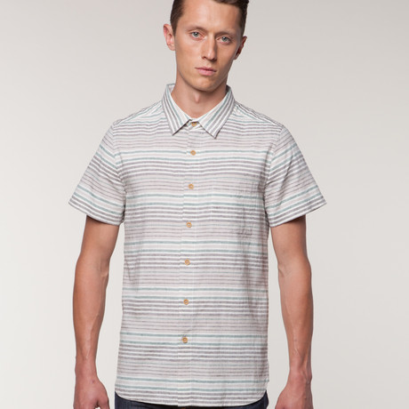 Wellinton // Grey Stripe (S)