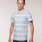 Wellinton // Blue Stripe (S)