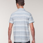 Wellinton // Blue Stripe (S)