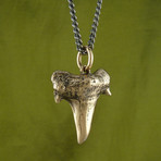 Shark Tooth Necklace (Bronze // 20" Gunmetal Chain)