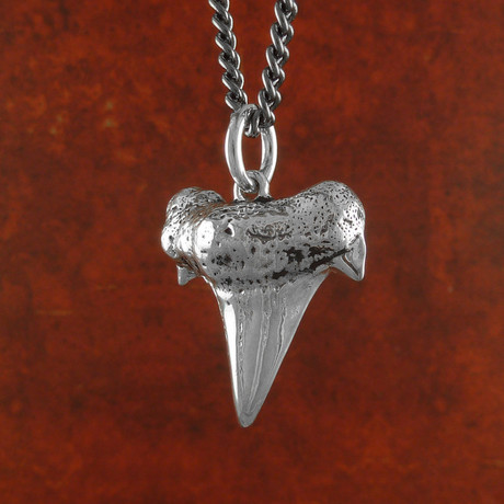 Shark Tooth Necklace (Bronze // 20" Gunmetal Chain)