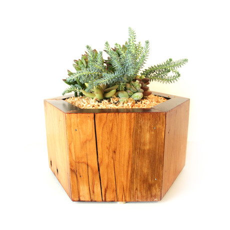 Hex Planter (Small)