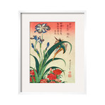 Katsushika Hokusai // Kingfisher, Iris And Pinks (Black Frame)