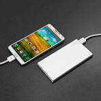 LifeBar Portable Battery Charger // 10000 mAh (10000 mAh)
