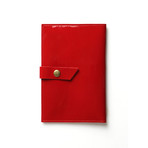 Luggage Tag + Passport Holder (Bright Red)