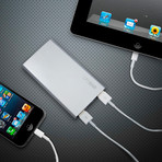 LifeBar Portable Battery Charger // 10000 mAh (10000 mAh)