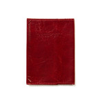 Passport Cover (Brown)
