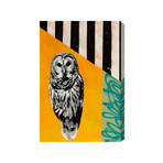 Barn Owl (16"L x 24"H)