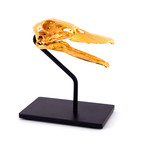 Duck // 24K Gold