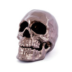 Human Skull 3D Printed // Black Nickel