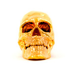Human Skull 3D Printed // 24K Gold