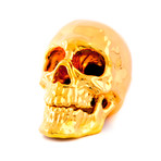 Human Skull 3D Printed // 24K Gold