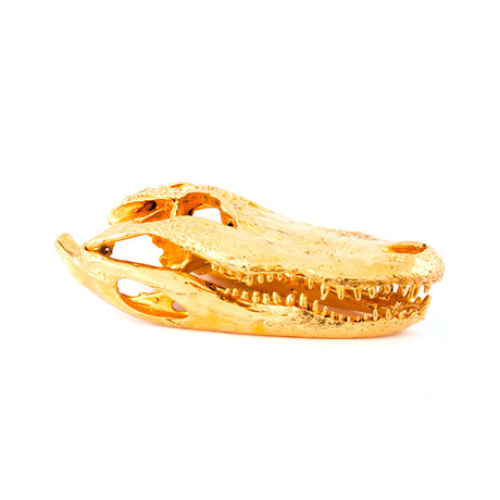 Alligator // 24K Gold