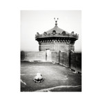 Cheeky Jodhpur 3 (11"L x 14" W)