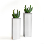 Aloe Duo // Chrome Pillars