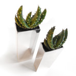 Aloe Duo // Chrome Pillars