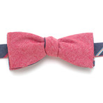 Classic Bow Tie // Indigo Rainbow Stripe & Red Chambray