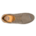 Nathan // Sage (US: 7)