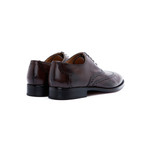 Wingtoe Oxford Premium // Dark Brown (US: 8)