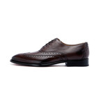 Wingtoe Oxford Premium // Dark Brown (US: 8)