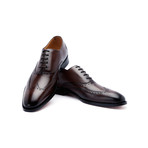 Wingtoe Oxford Premium // Dark Brown (US: 8)