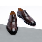 Wingtoe Oxford Premium // Dark Brown (US: 8)