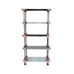 Vintage Glass Cart Bookcase