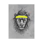 Hipster Lion