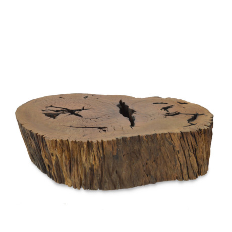 Bahia Pequi Trunk Coffee Table