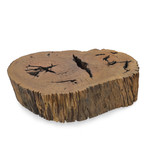 Bahia Pequi Trunk Coffee Table